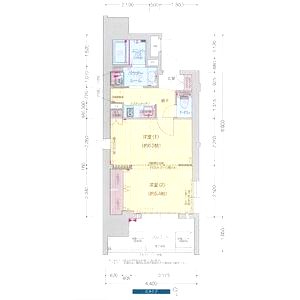 プレサンス昭和通ESRISEの間取り図