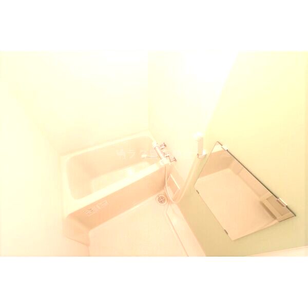 レオネクストMATSUOIIの室内写真5枚目