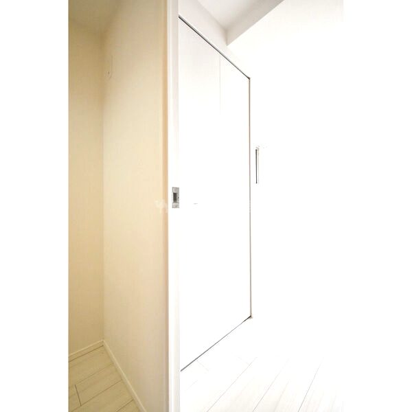 TLRレジデンス本町WESTの室内写真28枚目