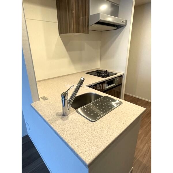 レーベン長岡天神CRESISTの室内写真10枚目