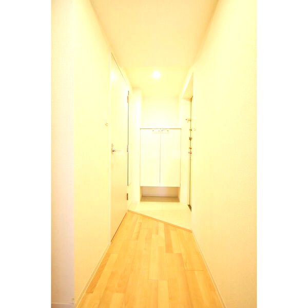 SERENiTE堺筋本町SUDの室内写真58枚目