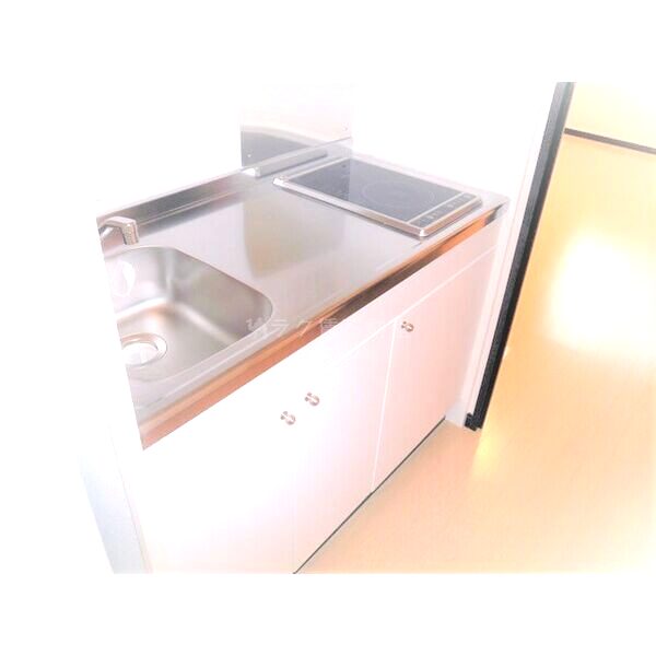 レオネクスト金楽寺の室内写真6枚目