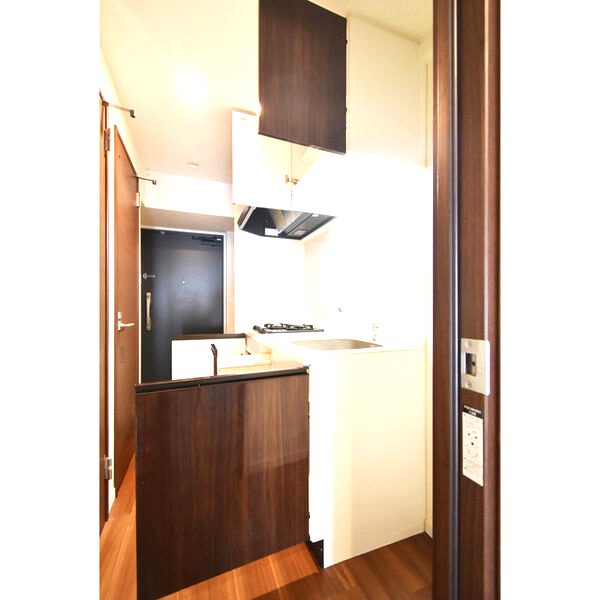 スプランディッド淀屋橋DUEの室内写真50枚目
