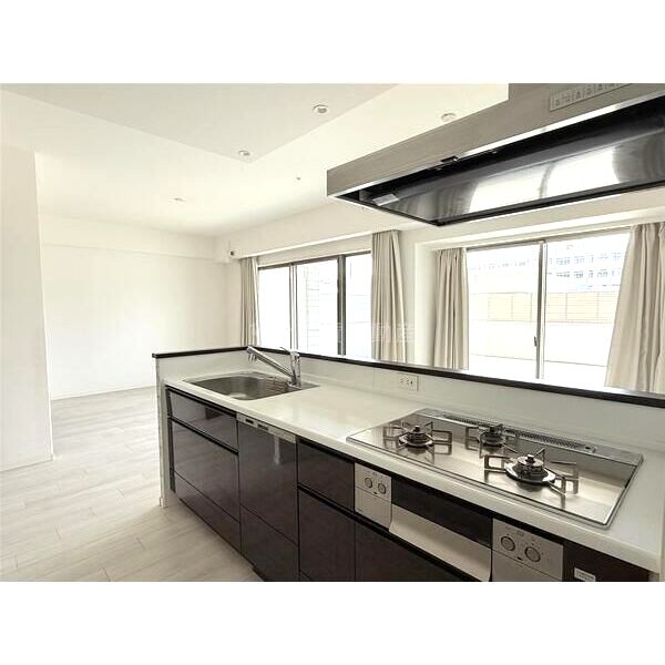 パレ・ロワイヤル田寺東ウエストコート102の室内写真2枚目