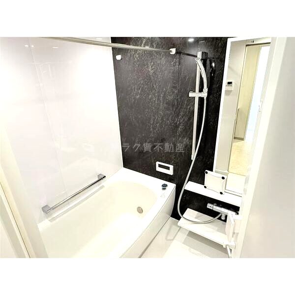 パレ・ロワイヤル田寺東ウエストコート102の室内写真3枚目