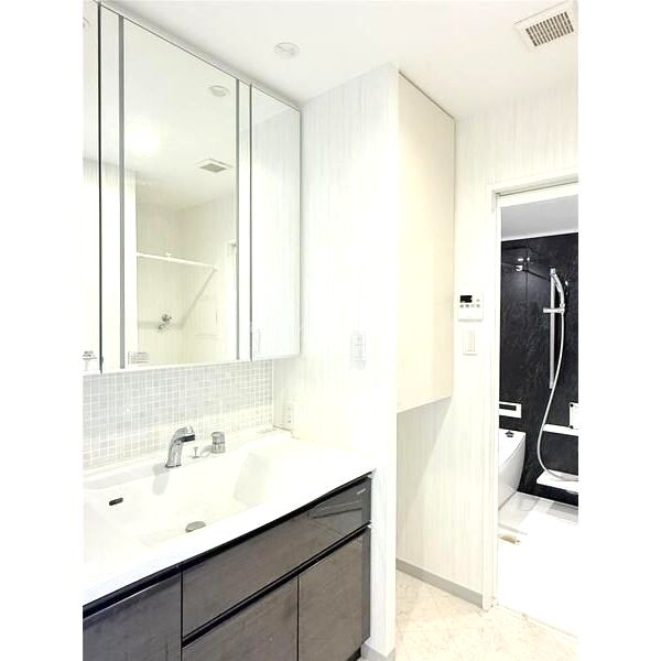 パレ・ロワイヤル田寺東ウエストコート102の室内写真4枚目