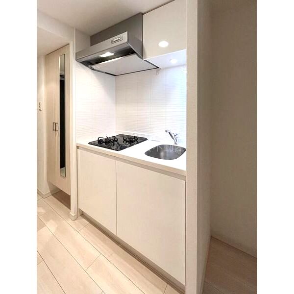 S-RESIDENCE南堀江の室内写真31枚目