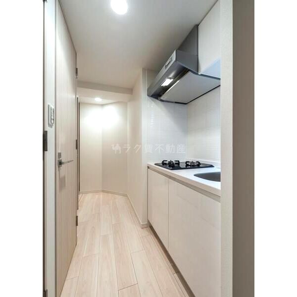 S-RESIDENCE南堀江の室内写真25枚目