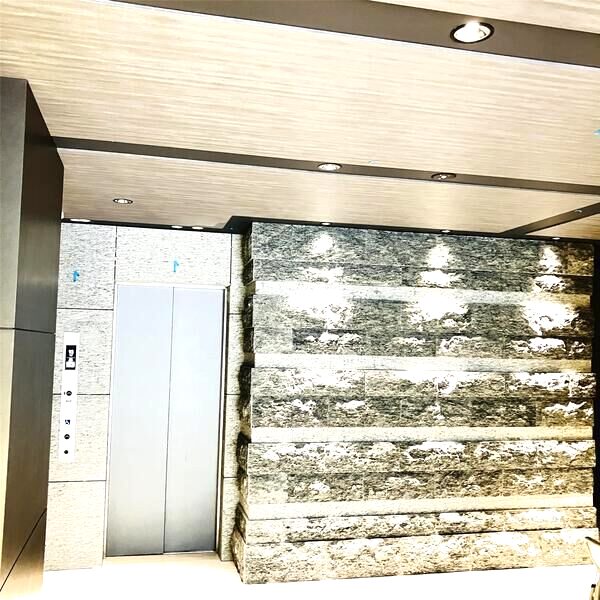 S-RESIDENCE難波大国町Unoの外観5枚目