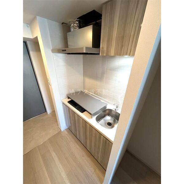 S-RESIDENCEドーム前千代崎の室内写真31枚目