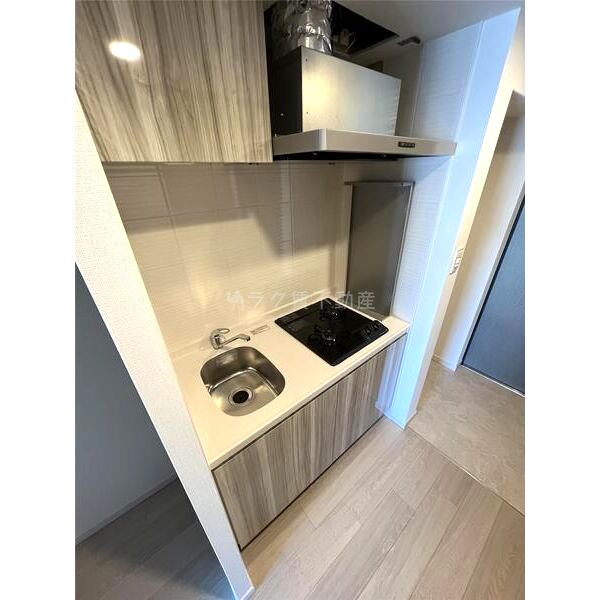S-RESIDENCEドーム前千代崎の室内写真78枚目
