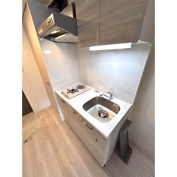 エスリードレジデンス大阪福島サウスフラッツの室内写真34枚目