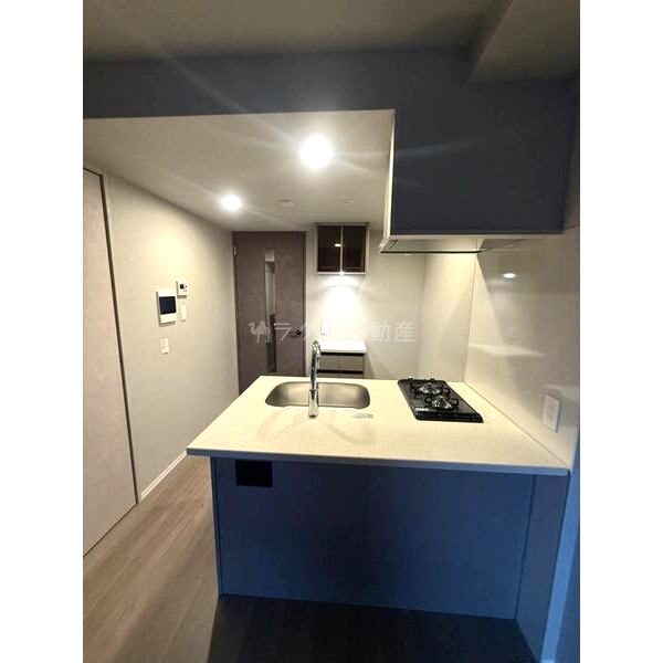 エスリードレジデンス ザ・グラン大阪福島クラスの室内写真44枚目