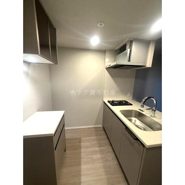 エスリードレジデンス ザ・グラン大阪福島クラスの室内写真73枚目