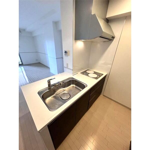 ロイヤルパークス桃坂の室内写真48枚目