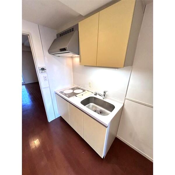 ロイヤルパークス桃坂の室内写真28枚目