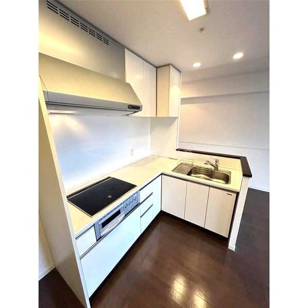 ロイヤルパークス桃坂の室内写真27枚目