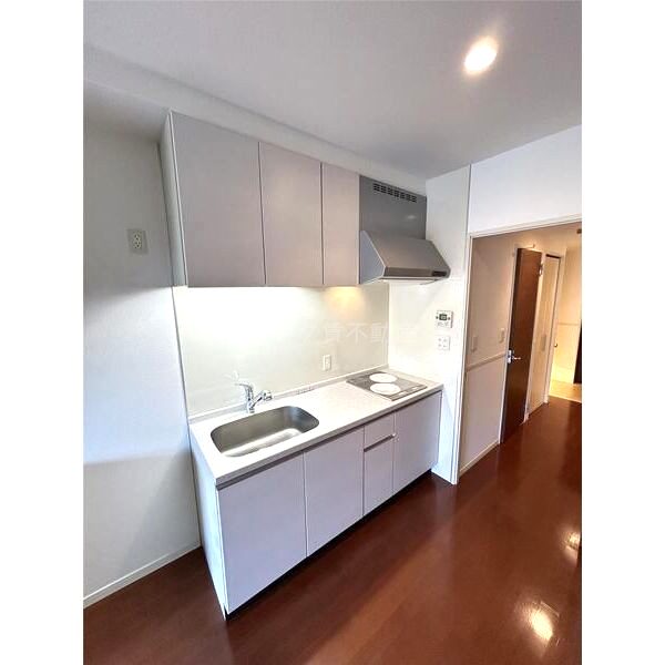 ロイヤルパークス桃坂の室内写真33枚目