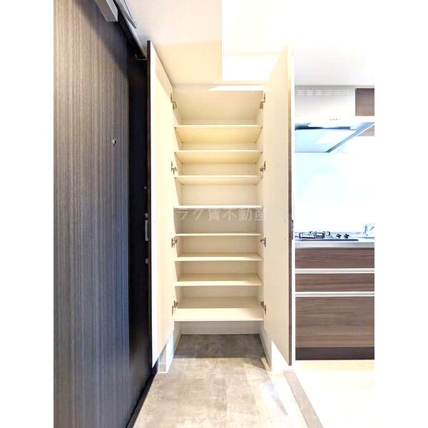 S-RESIDENCE堺altklasの室内写真54枚目