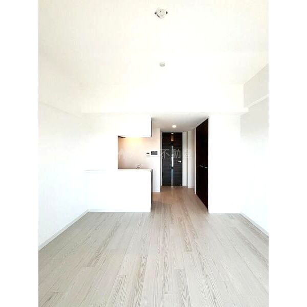 S-RESIDENCE堺altklasの室内写真25枚目