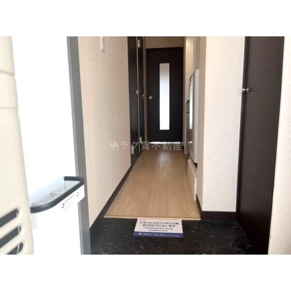 レオネクストコナ&ミルクの室内写真8枚目