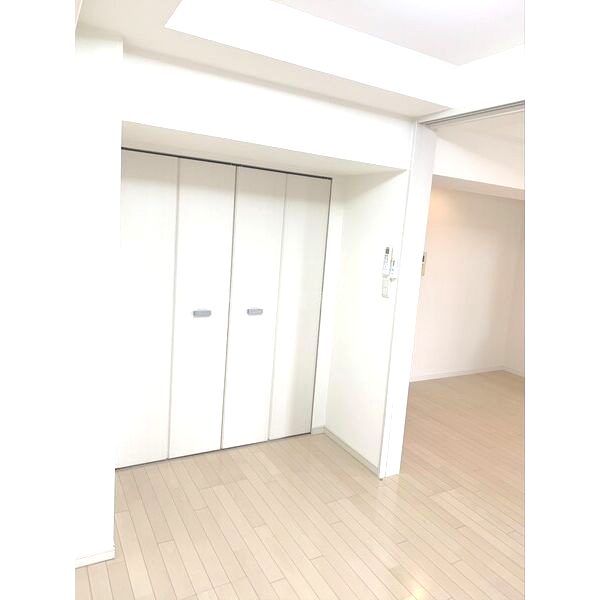 クロスレジデンス大阪新町(旧ベルファース大阪新町)の室内写真42枚目