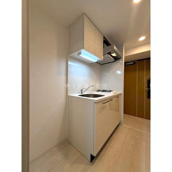 エスリード大阪イーストエッジの室内写真222枚目