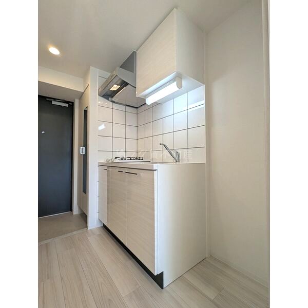 エスリード大阪梅田リュクスの室内写真2枚目