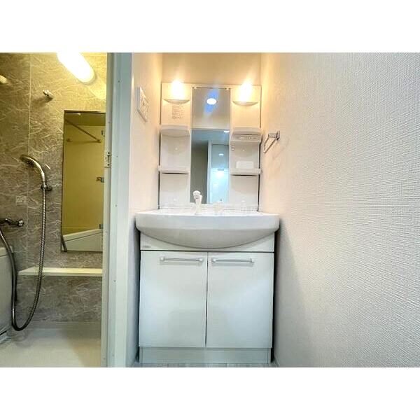 セイワパレス梅田茶屋町の室内写真38枚目