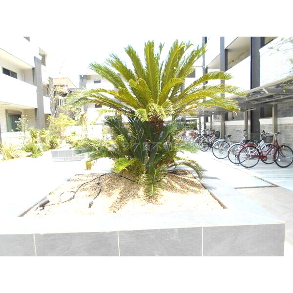 Jacaranda Yard Bの外観7枚目