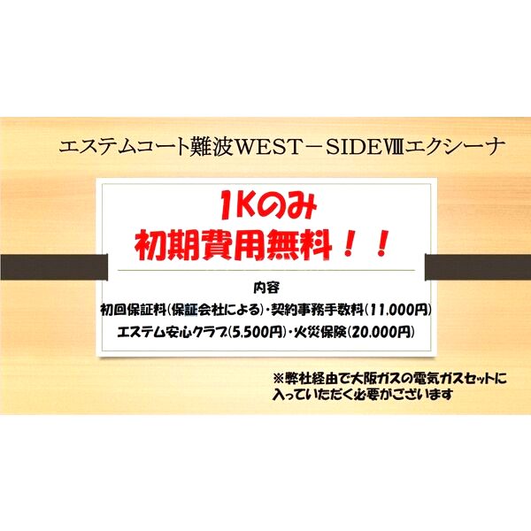 エステムコート難波WEST-SIDEVIIIエクシーナの外観5枚目