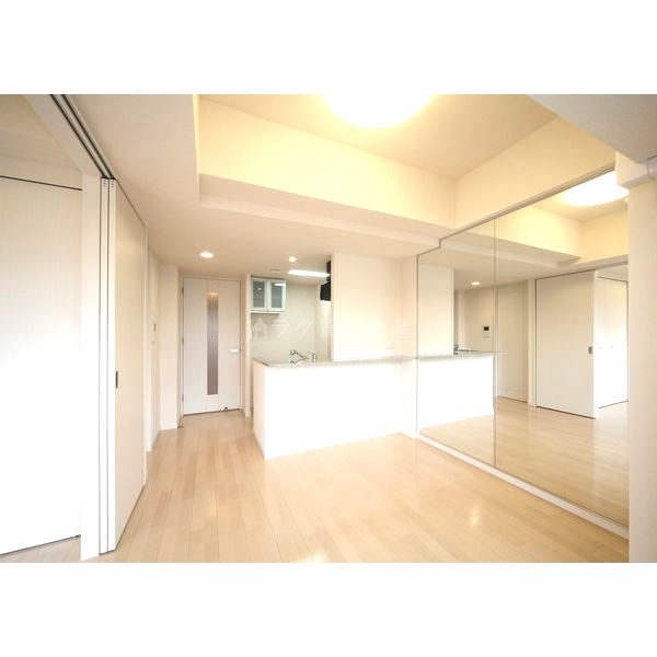 エステムコート難波サウスプレイスIIIラ・パークの室内写真10枚目