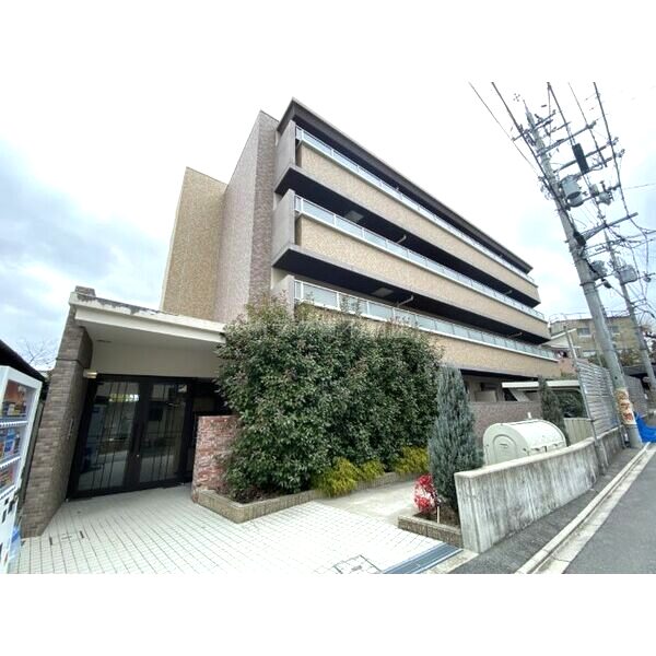 プラシド七瀬川