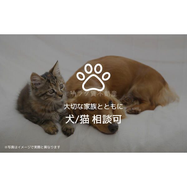 シャーメゾン シエロの室内写真24枚目