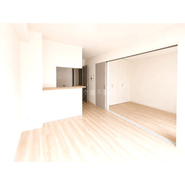 MAISON PREMIER UMEDA NORTHの室内写真5枚目