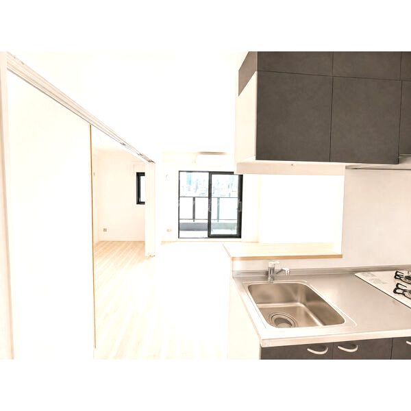 MAISON PREMIER UMEDA NORTHの室内写真34枚目