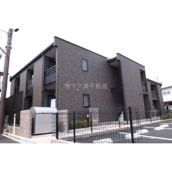 レオネクストファレノプシス上野