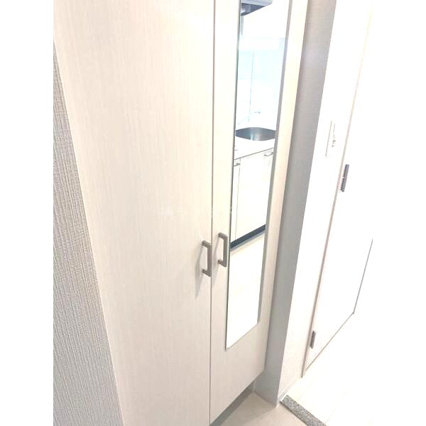エスリードレジデンス大阪本町の室内写真65枚目