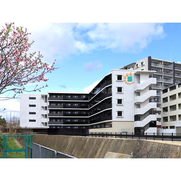 スプランディッド茨木天王