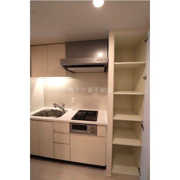 OPUS RESIDENCE SHINSAIBASHI SOUTHの室内写真50枚目