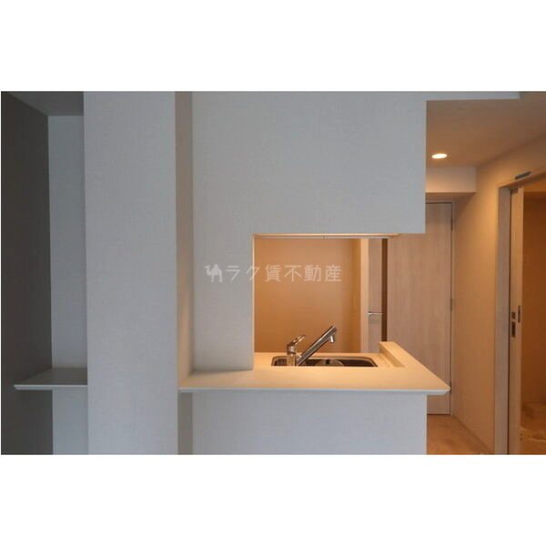 OPUS RESIDENCE SHINSAIBASHI SOUTHの室内写真85枚目