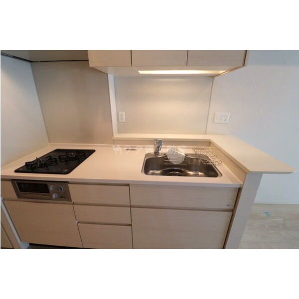 OPUS RESIDENCE SHINSAIBASHI SOUTHの室内写真34枚目