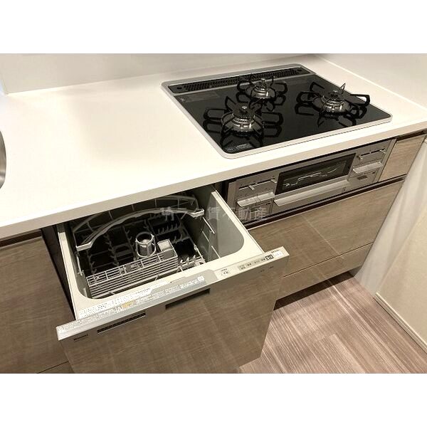 SK RESIDENCES SHINSAIBASHI (旧 SK RESIDENCES)の室内写真26枚目