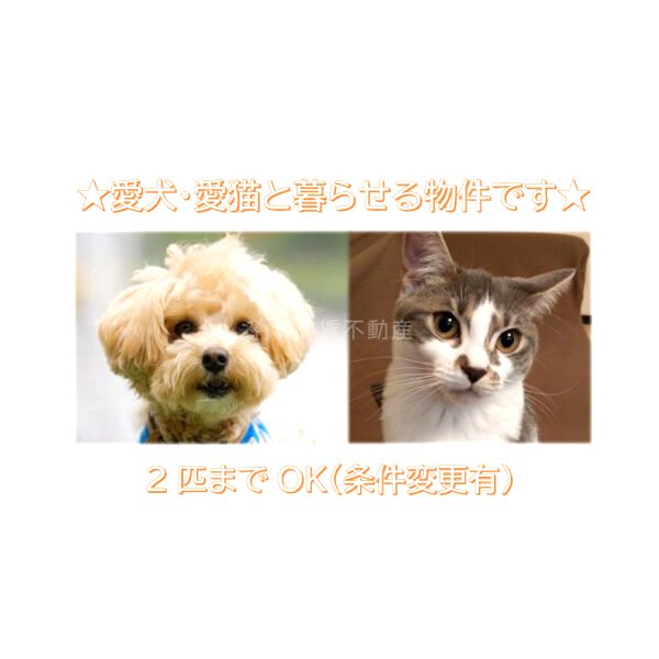 グランフェリーチェ・ナインの外観2枚目
