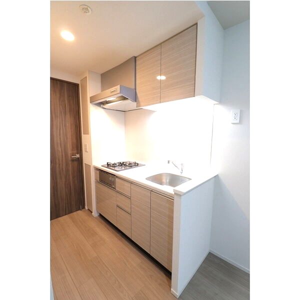 BPRレジデンス大阪本町Qの室内写真39枚目