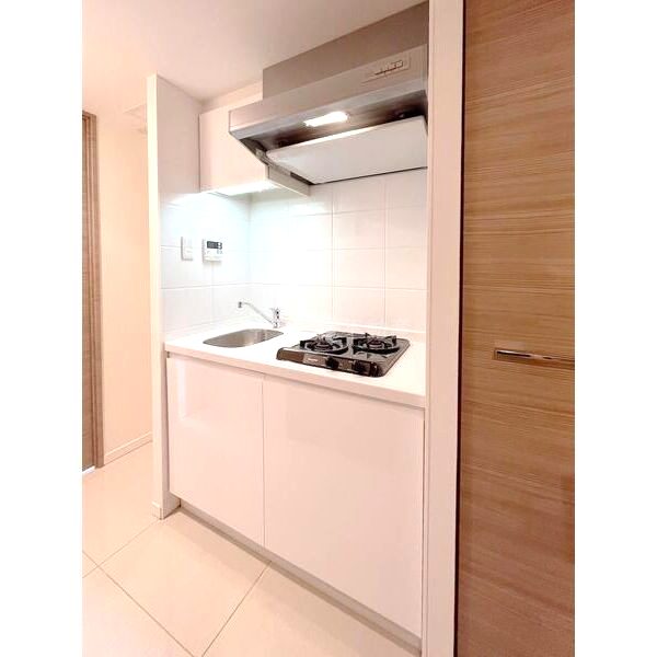 S-RESIDENCE難波Brillerの室内写真41枚目