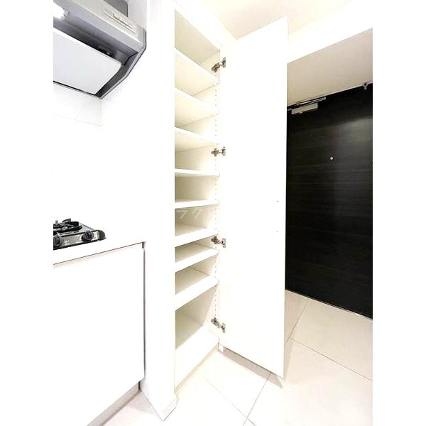 S-RESIDENCE難波Brillerの室内写真67枚目